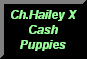 CLICK TO GO TO HAILEY AND CASH PUPPIES PAGE
