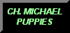 CLICK TO SEE MICHAEL PUPPIES